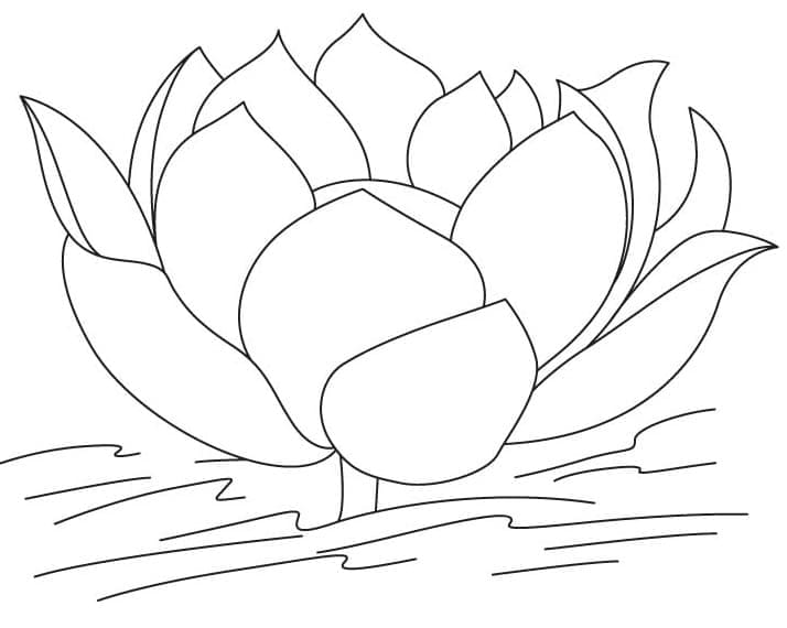 Dibujo gratuito Loto #182318 de la coleccion Naturaleza y Estaciones para imprimir