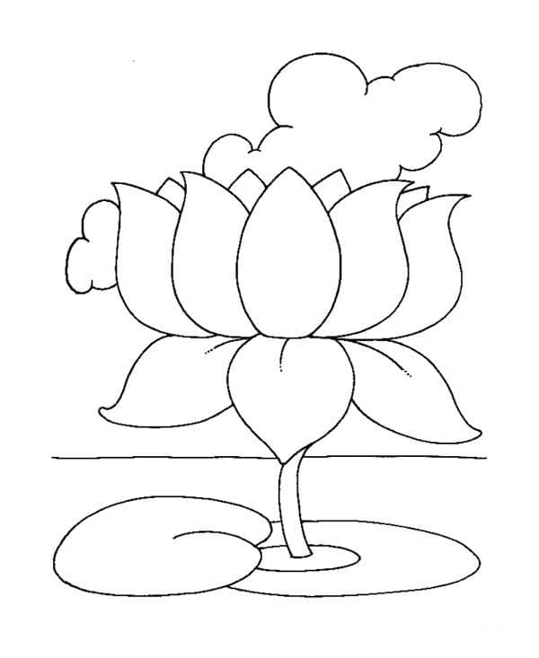 Dibujo gratuito Loto #182327 de la coleccion Naturaleza y Estaciones para imprimir