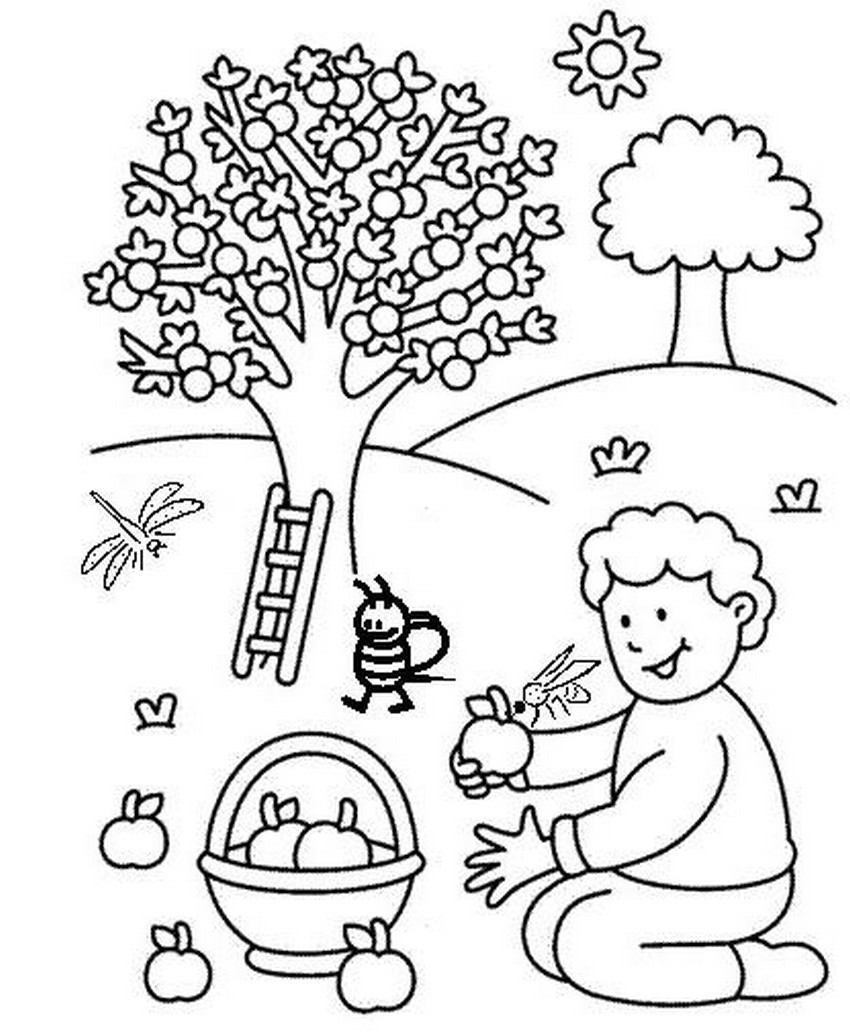 Dibujo gratuito Manzano #163445 de la coleccion Naturaleza y Estaciones para imprimir