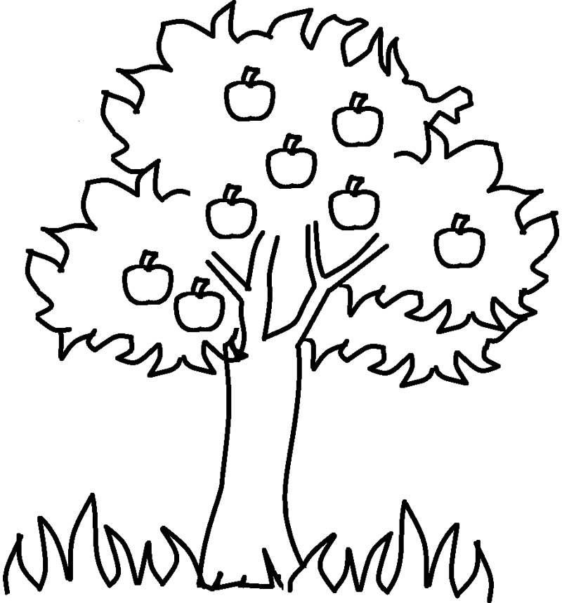 Dibujo para colorear: Manzano (Naturaleza y Estaciones) #163738 - Dibujos para Colorear e Imprimir Gratis