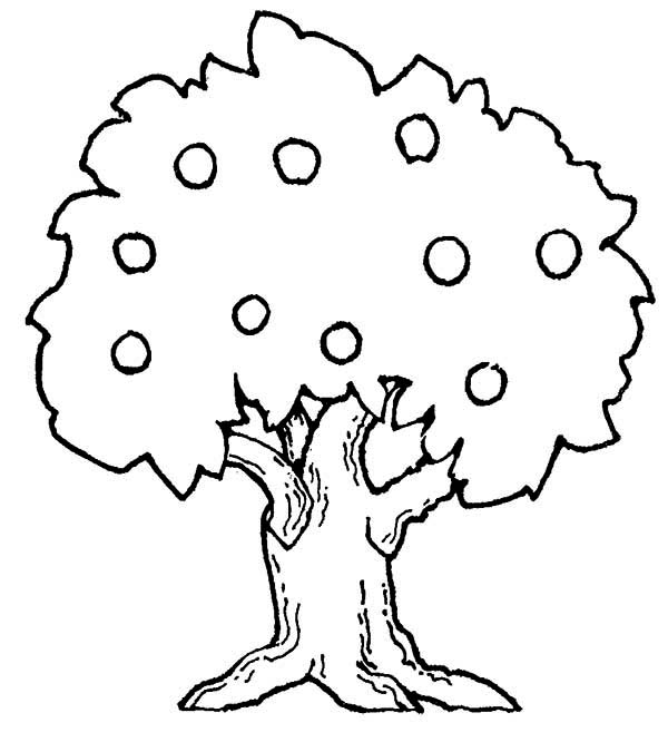 Dibujo gratuito Manzano #163743 de la coleccion Naturaleza y Estaciones para imprimir