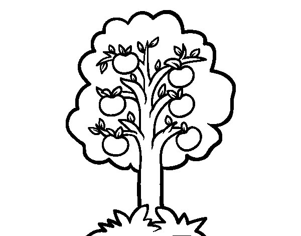 Dibujo para colorear: Manzano (Naturaleza y Estaciones) #163751 - Dibujos para Colorear e Imprimir Gratis