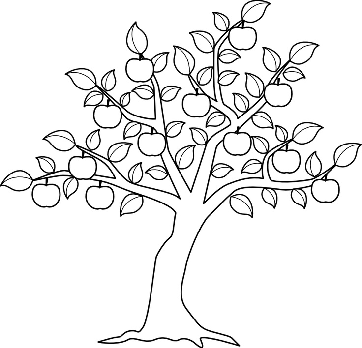 Dibujo para colorear: Manzano (Naturaleza y Estaciones) #163762 - Dibujos para Colorear e Imprimir Gratis