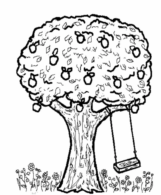 Dibujo gratuito Manzano #163803 de la coleccion Naturaleza y Estaciones para imprimir
