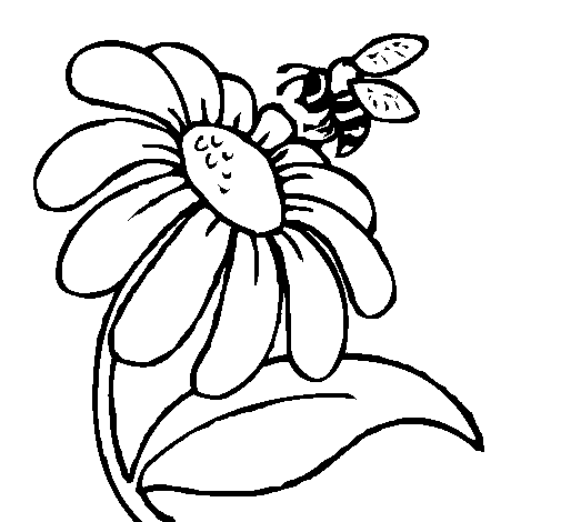 Dibujo para colorear: Margarita (Naturaleza y Estaciones) #161369 - Dibujos para Colorear e Imprimir Gratis