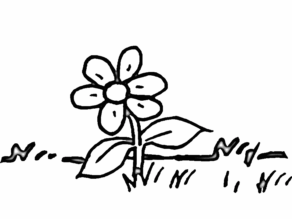 Dibujo gratuito Margarita #161375 de la coleccion Naturaleza y Estaciones para imprimir