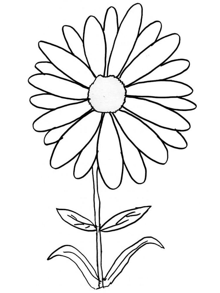 Dibujo gratuito Margarita #176537 de la coleccion Naturaleza y Estaciones para imprimir