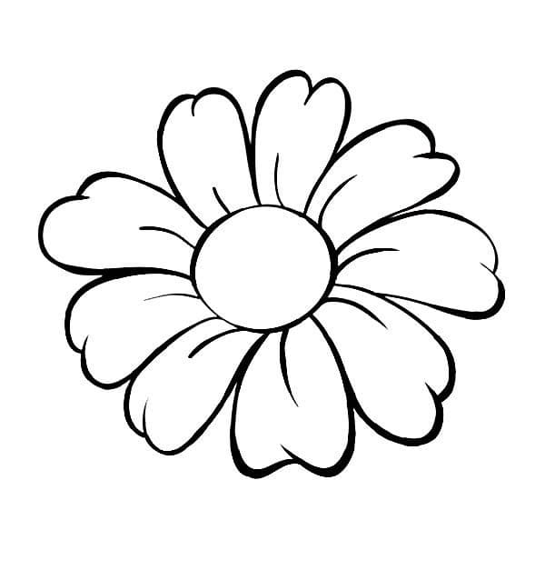 Dibujo gratuito Margarita #176538 de la coleccion Naturaleza y Estaciones para imprimir