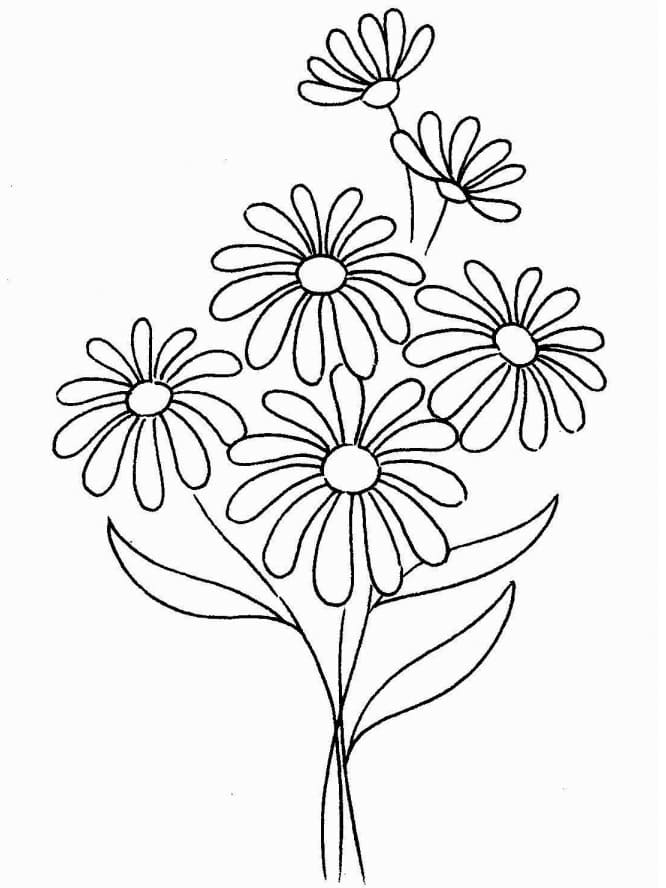 Dibujo gratuito Margarita #176539 de la coleccion Naturaleza y Estaciones para imprimir