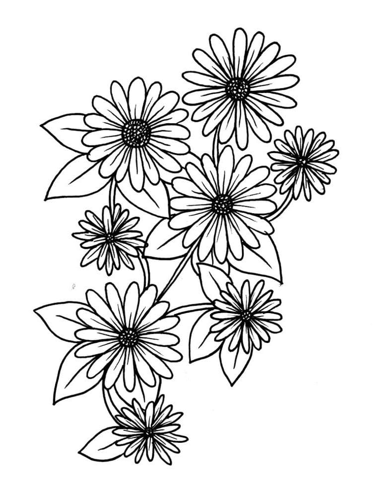 Dibujo gratuito Margarita #176548 de la coleccion Naturaleza y Estaciones para imprimir