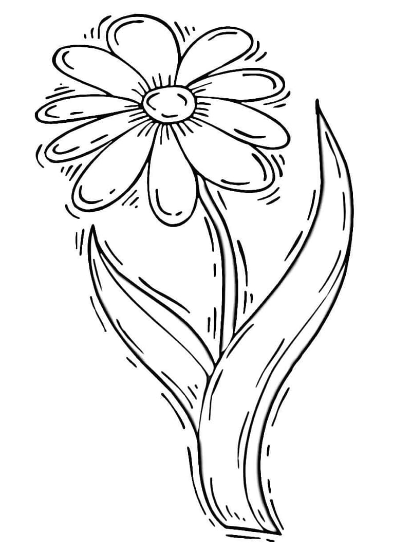 Dibujo gratuito Margarita #176550 de la coleccion Naturaleza y Estaciones para imprimir