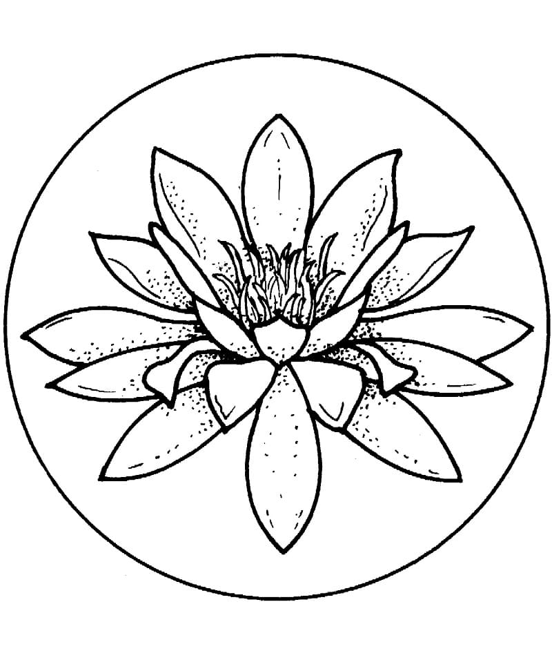 Dibujo gratuito nenúfar #221876 de la coleccion Naturaleza y Estaciones para imprimir