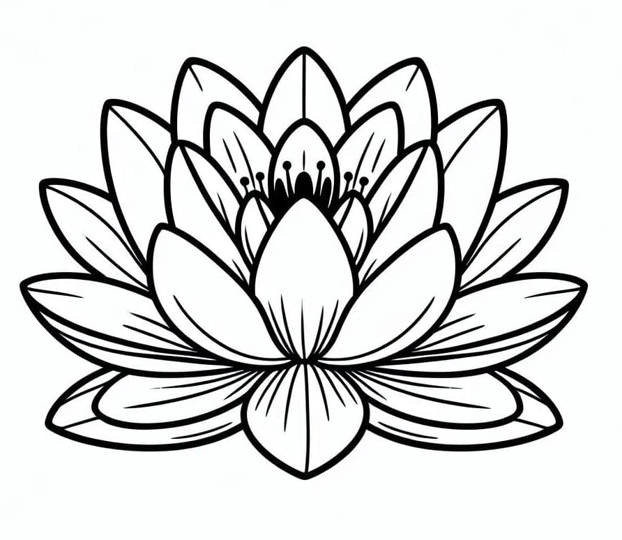 Dibujo gratuito nenúfar #221890 de la coleccion Naturaleza y Estaciones para imprimir