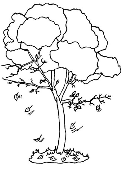 Dibujo gratuito Otoño #164072 de la coleccion Naturaleza y Estaciones para imprimir