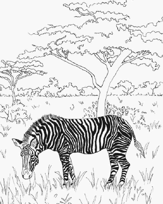 Dibujo gratuito Paisaje #165837 de la coleccion Naturaleza y Estaciones para imprimir