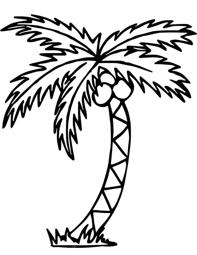 Dibujo gratuito Palmera #200705 de la coleccion Naturaleza y Estaciones para imprimir Dibujo gratuito Palmera #200705 de la coleccion Naturaleza y Estaciones para imprimir