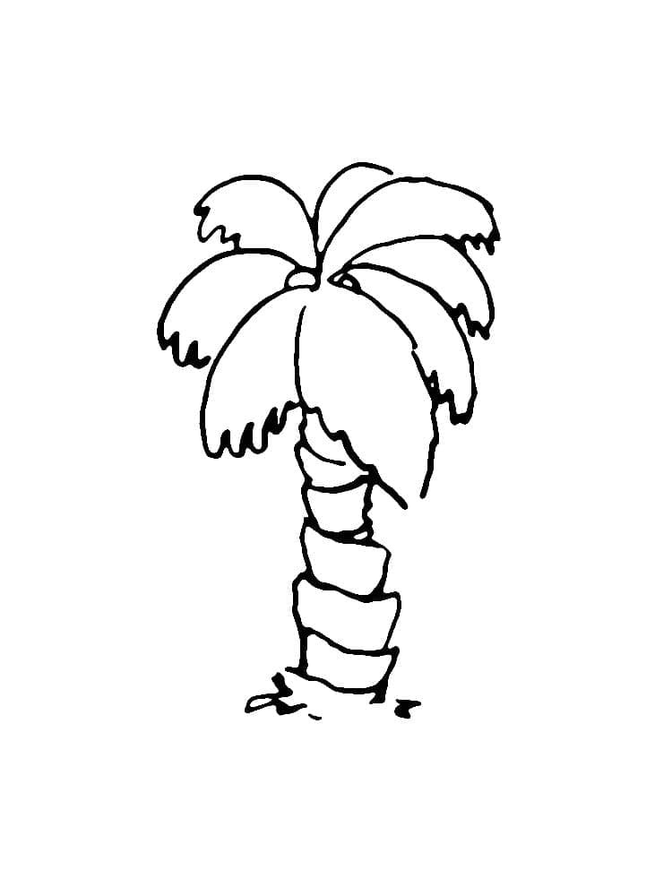 Dibujo gratuito Palmera #200714 de la coleccion Naturaleza y Estaciones para imprimir