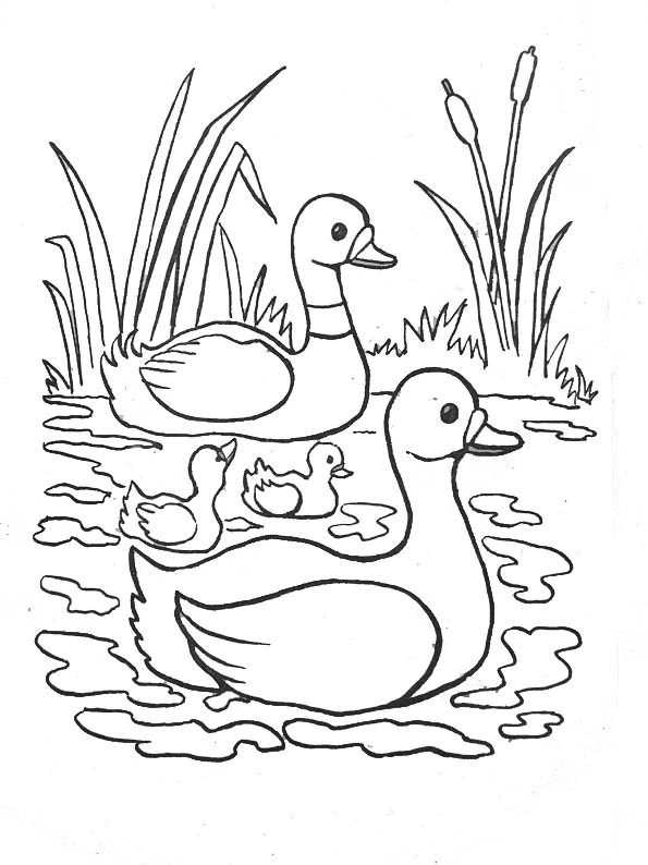 Dibujo gratuito Río #159321 de la coleccion Naturaleza y Estaciones para imprimir
