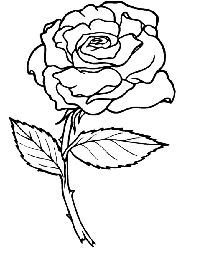 Dibujo gratuito Rosas #161884 de la coleccion Naturaleza y Estaciones para imprimir