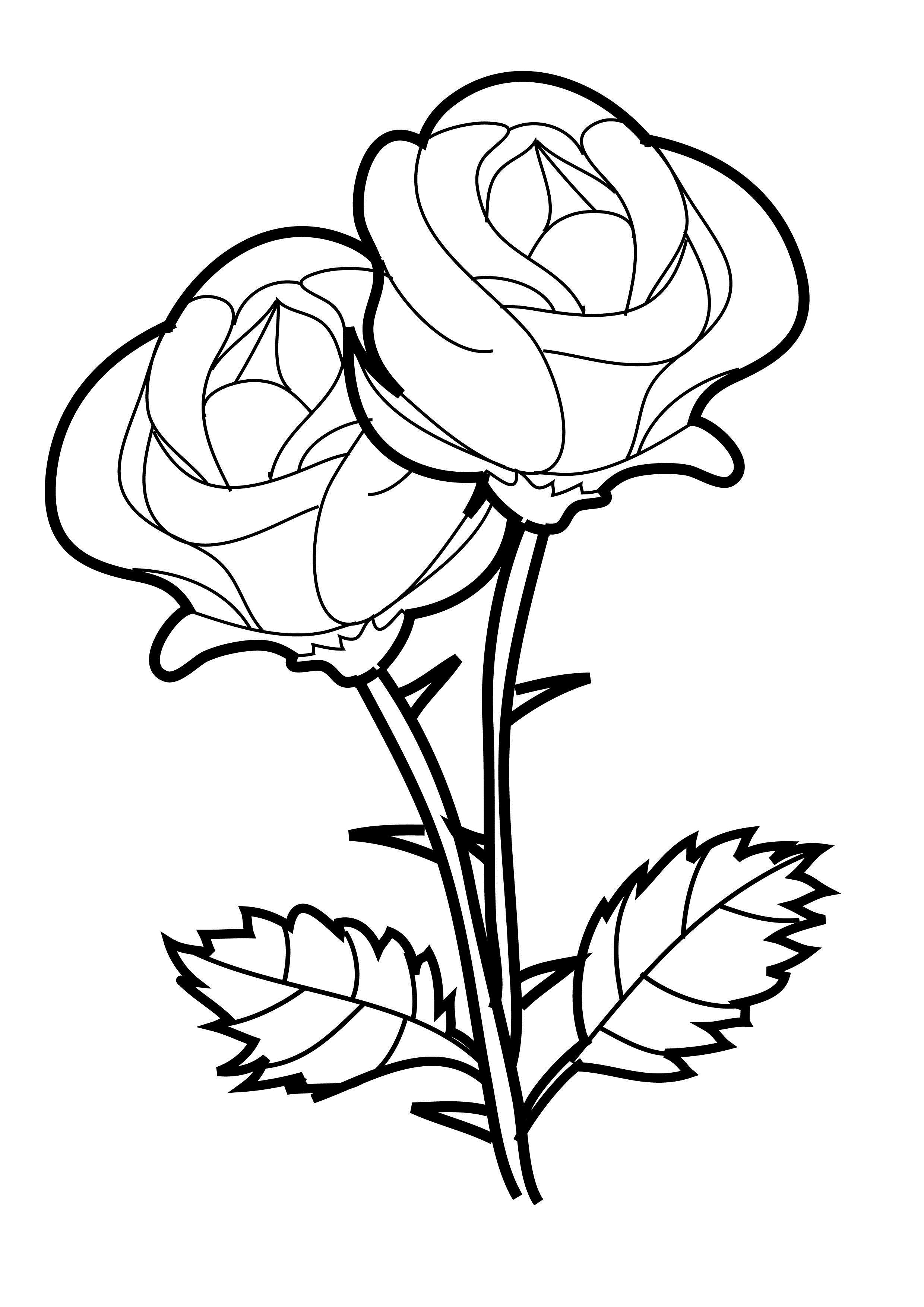 Dibujo para colorear: Rosas (Naturaleza y Estaciones) #161890 - Dibujos para Colorear e Imprimir Gratis