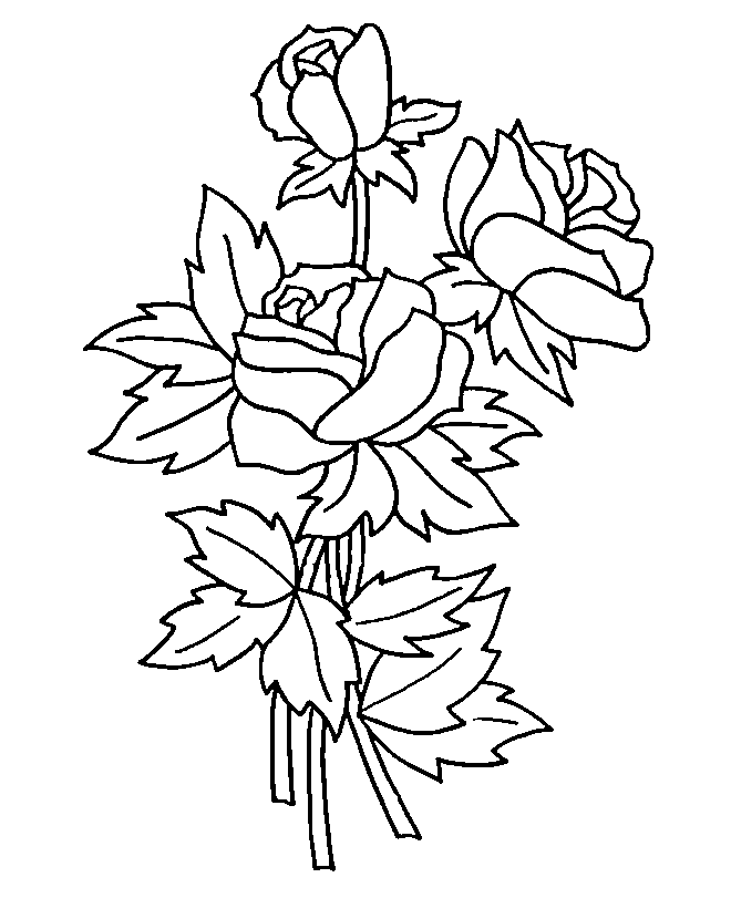 Dibujo para colorear: Rosas (Naturaleza y Estaciones) #161895 - Dibujos para Colorear e Imprimir Gratis
