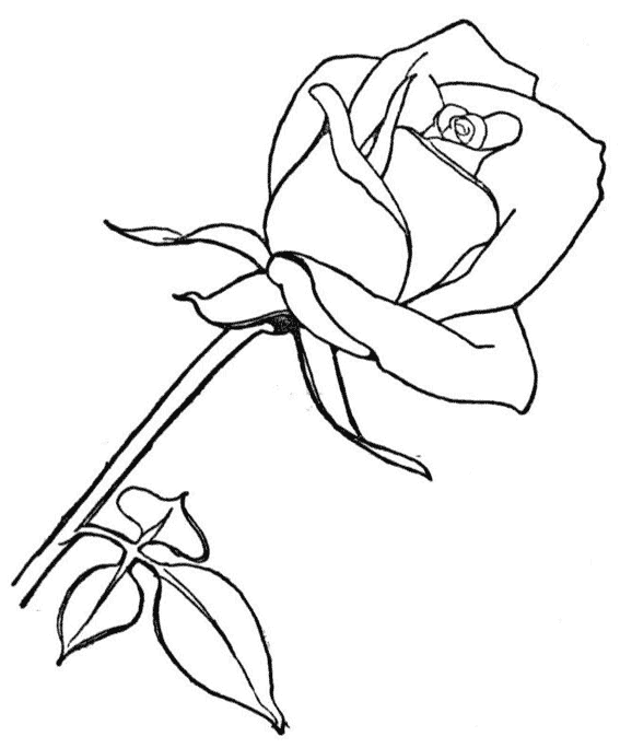 Dibujo gratuito Rosas #161906 de la coleccion Naturaleza y Estaciones para imprimir Dibujo gratuito Rosas #161906 de la coleccion Naturaleza y Estaciones para imprimir