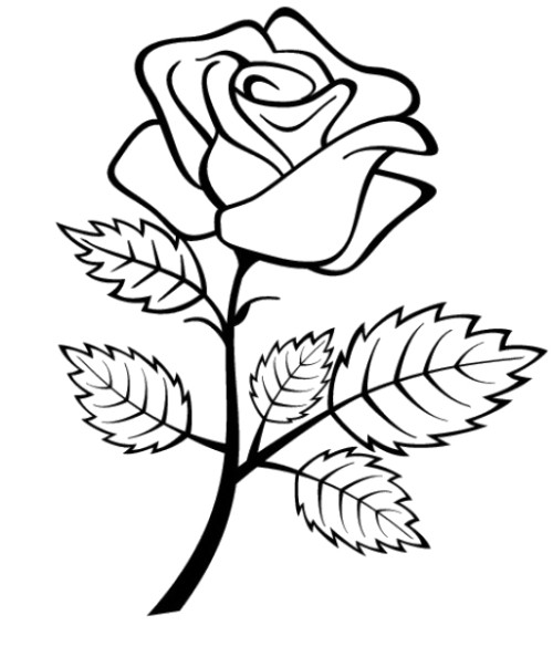 Dibujo para colorear: Rosas (Naturaleza y Estaciones) #161936 - Dibujos para Colorear e Imprimir Gratis