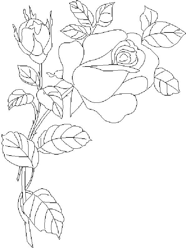 Dibujo gratuito Rosas #161949 de la coleccion Naturaleza y Estaciones para imprimir
