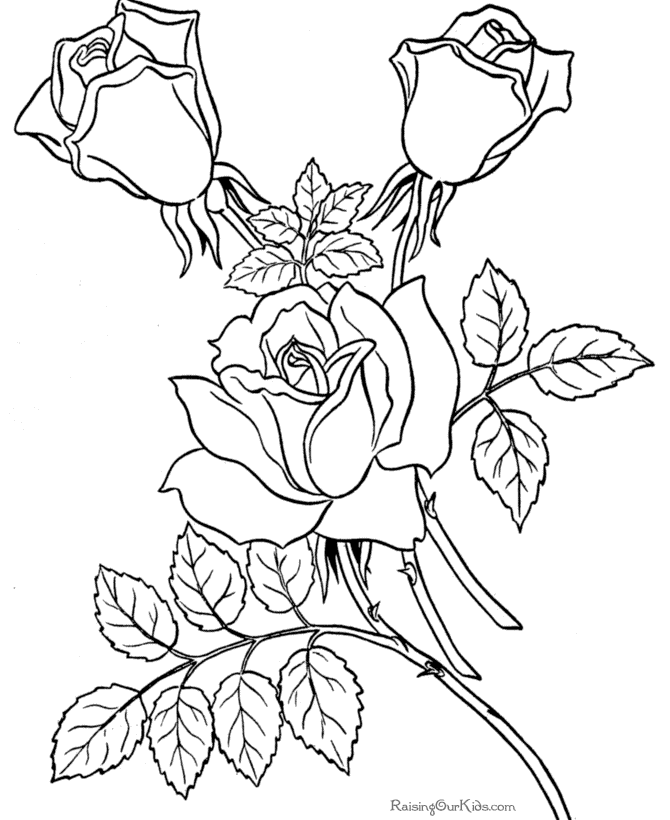 Dibujo para colorear: Rosas (Naturaleza y Estaciones) #161984 - Dibujos para Colorear e Imprimir Gratis