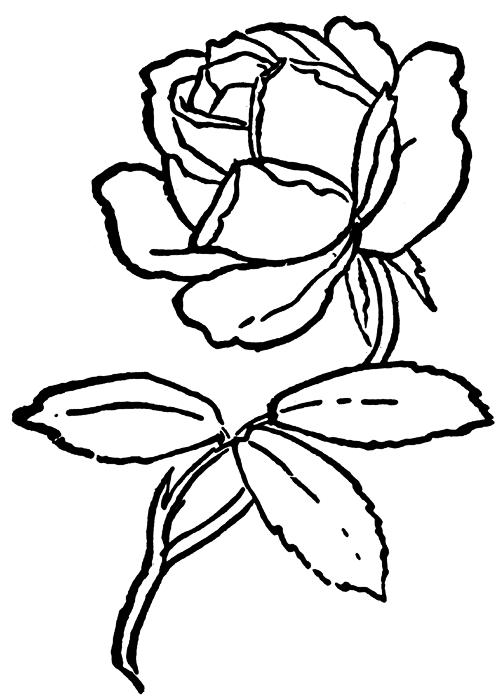 Dibujo gratuito Rosas #161989 de la coleccion Naturaleza y Estaciones para imprimir