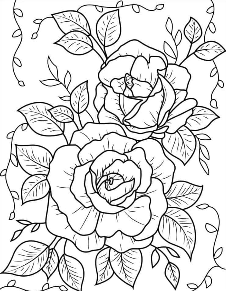 Dibujo gratuito Rosas #218729 de la coleccion Naturaleza y Estaciones para imprimir