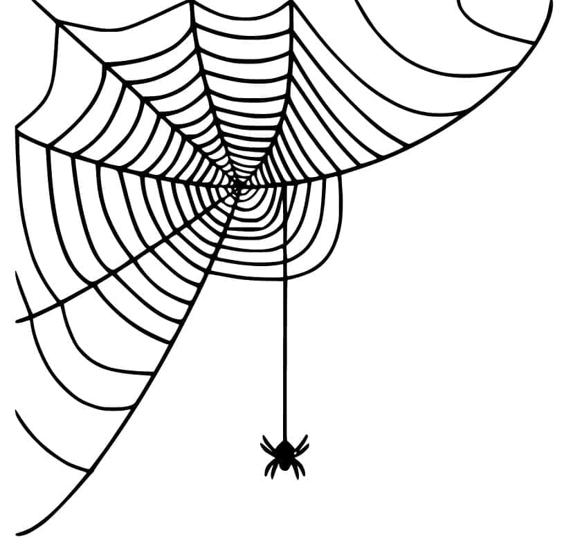 Dibujo gratuito Telaraña #204191 de la coleccion Naturaleza y Estaciones para imprimir