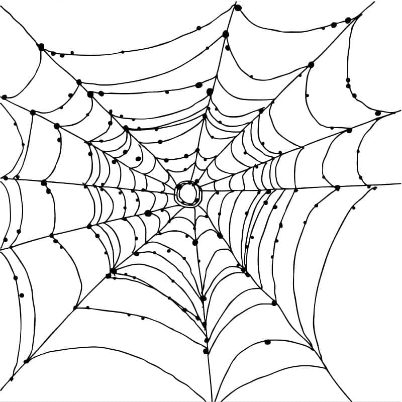 Dibujo gratuito Telaraña #204194 de la coleccion Naturaleza y Estaciones para imprimir