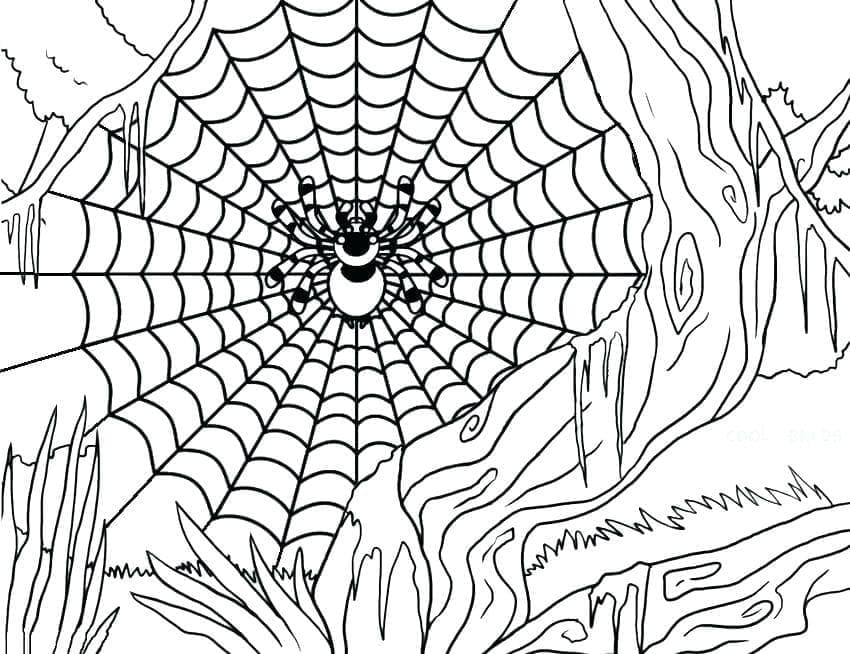 Dibujo gratuito Telaraña #204195 de la coleccion Naturaleza y Estaciones para imprimir Dibujo gratuito Telaraña #204195 de la coleccion Naturaleza y Estaciones para imprimir