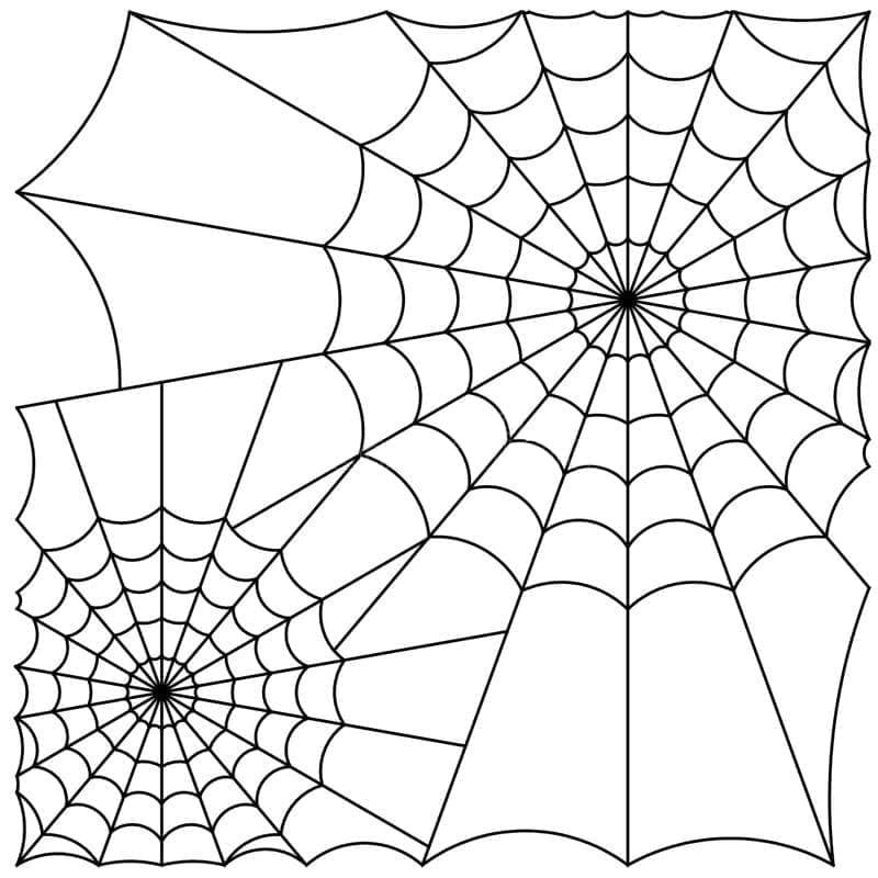 Dibujo para colorear: Telaraña (Naturaleza y Estaciones) #204197 - Dibujos para Colorear e Imprimir Gratis