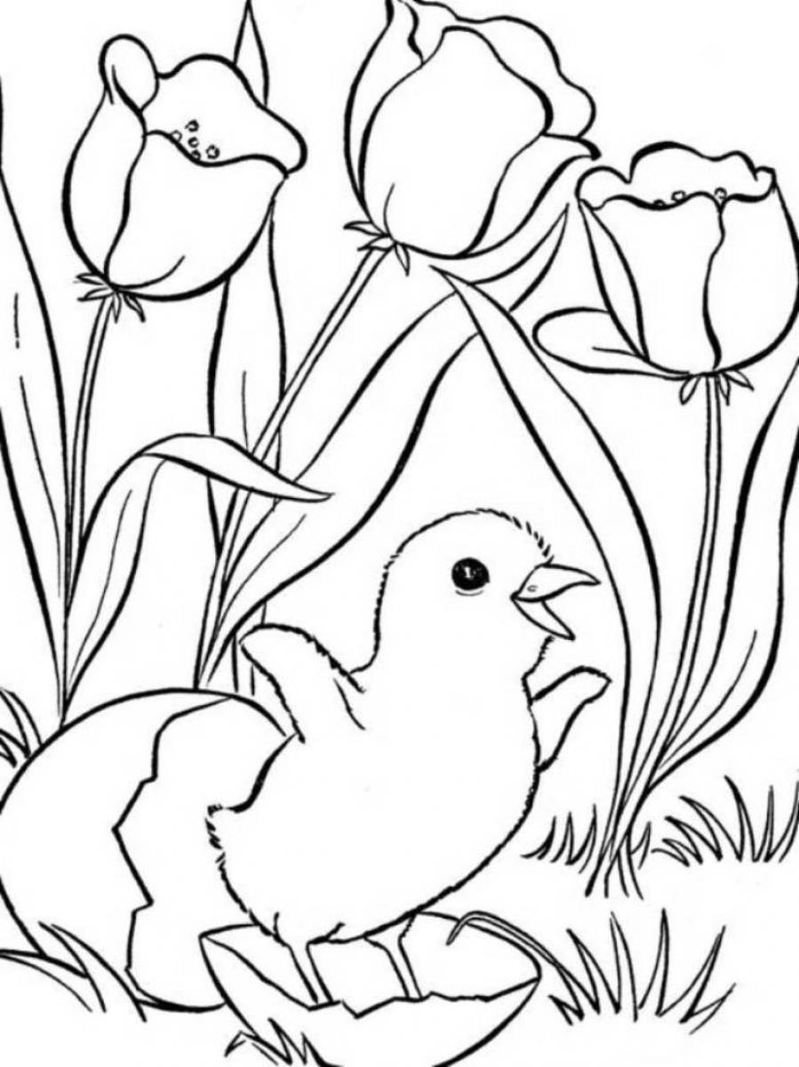 Dibujo gratuito Temporada de Primavera #164796 de la coleccion Naturaleza y Estaciones para imprimir Dibujo gratuito Temporada de Primavera #164796 de la coleccion Naturaleza y Estaciones para imprimir