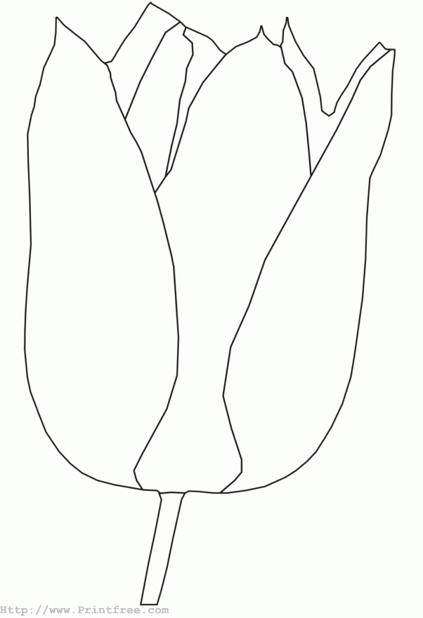 Dibujo gratuito Tulipán #161633 de la coleccion Naturaleza y Estaciones para imprimir Dibujo gratuito Tulipán #161633 de la coleccion Naturaleza y Estaciones para imprimir