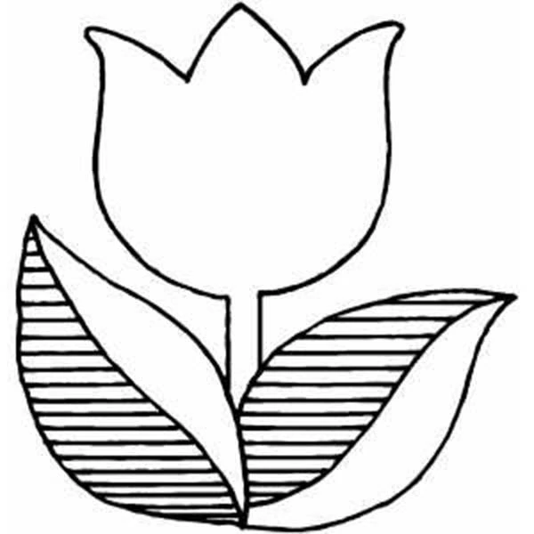 Dibujo para colorear: Tulipán (Naturaleza y Estaciones) #161662 - Dibujos para Colorear e Imprimir Gratis