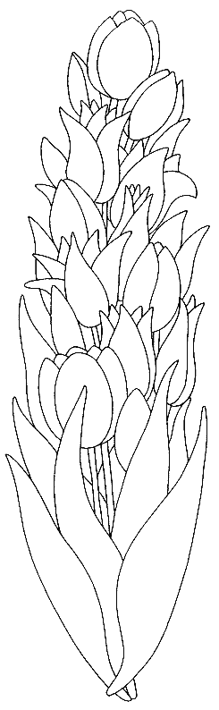 Dibujo gratuito Tulipán #161675 de la coleccion Naturaleza y Estaciones para imprimir Dibujo gratuito Tulipán #161675 de la coleccion Naturaleza y Estaciones para imprimir