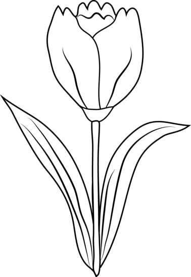 Dibujo gratuito Tulipán #161793 de la coleccion Naturaleza y Estaciones para imprimir Dibujo gratuito Tulipán #161793 de la coleccion Naturaleza y Estaciones para imprimir