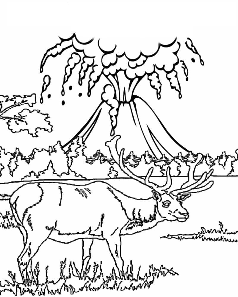 Dibujo gratuito Volcán #178073 de la coleccion Naturaleza y Estaciones para imprimir