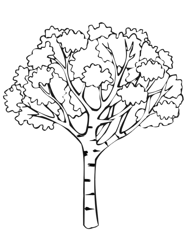 Dibujo para colorear: Árbol (Naturaleza) #154671 - Dibujos para Colorear e Imprimir Gratis