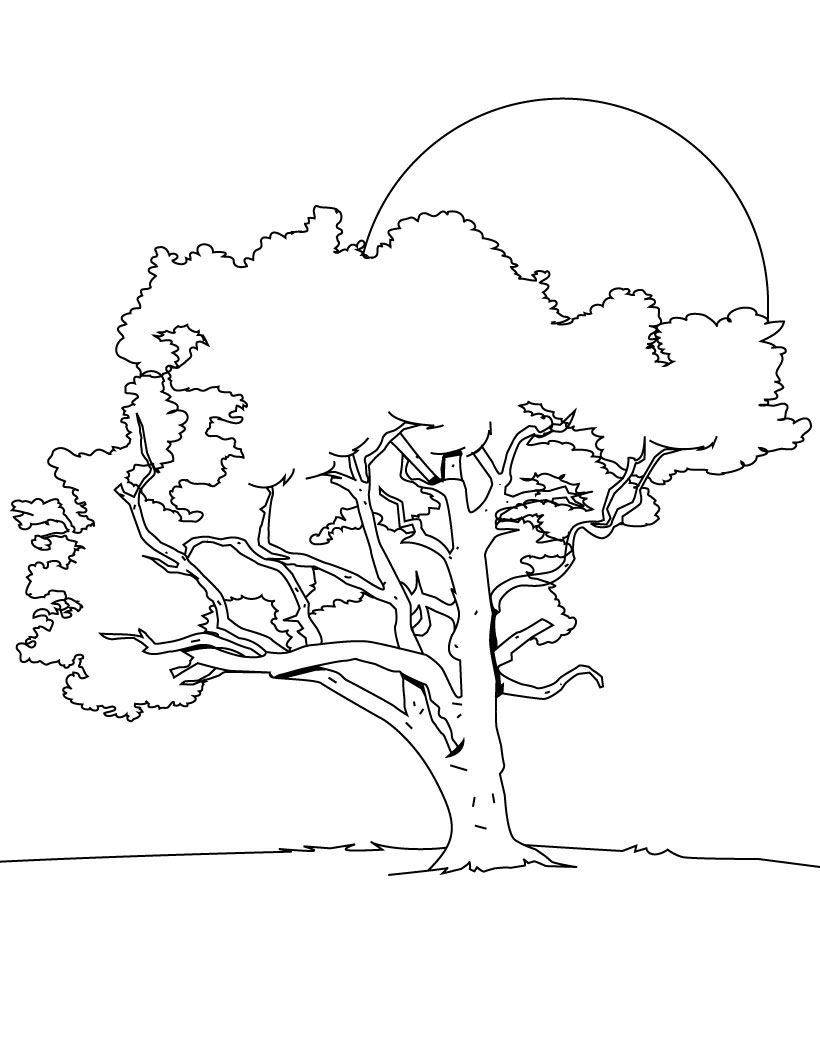 Dibujo para colorear: Árbol (Naturaleza) #154677 - Dibujos para Colorear e Imprimir Gratis