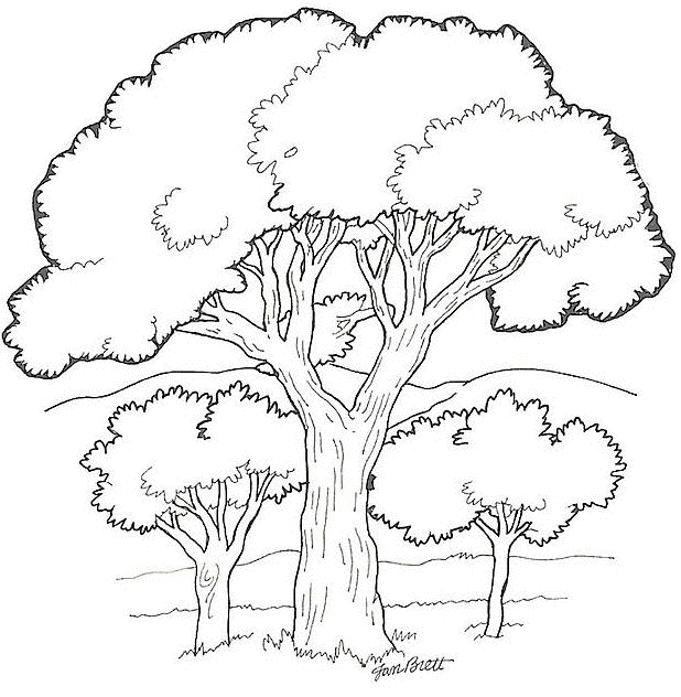 Dibujo para colorear: Árbol (Naturaleza) #154679 - Dibujos para Colorear e Imprimir Gratis