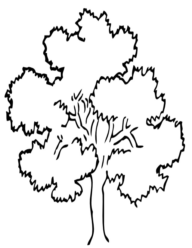 Dibujo para colorear: Árbol (Naturaleza) #154701 - Dibujos para Colorear e Imprimir Gratis