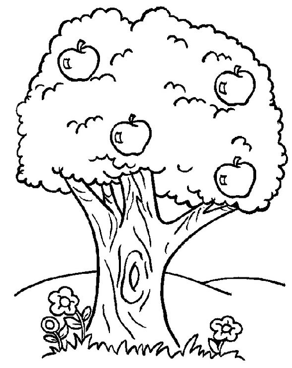 Dibujo para colorear: Árbol (Naturaleza) #154702 - Dibujos para Colorear e Imprimir Gratis
