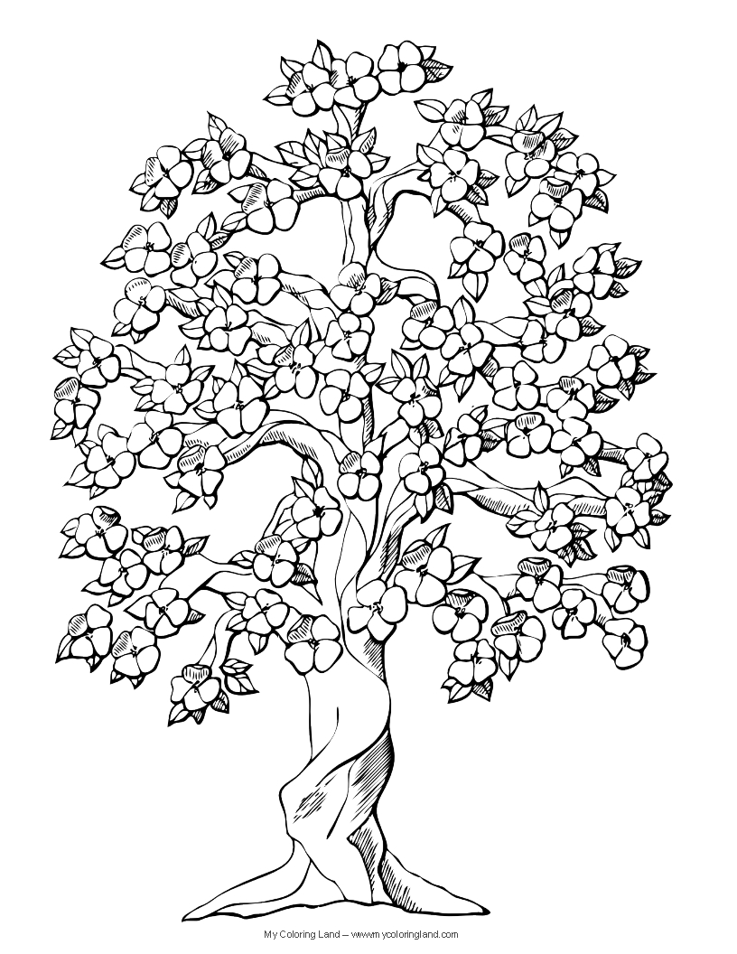 Dibujo para colorear: Árbol (Naturaleza) #154739 - Dibujos para Colorear e Imprimir Gratis