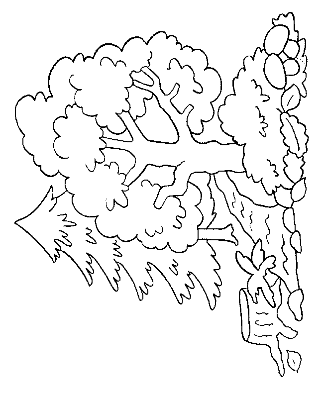 Dibujo para colorear: Árbol (Naturaleza) #154741 - Dibujos para Colorear e Imprimir Gratis