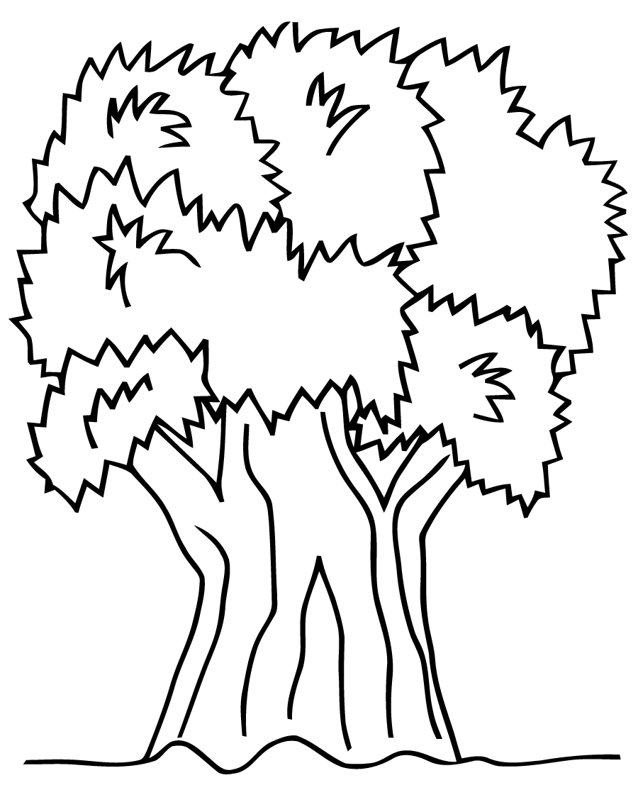 Dibujo para colorear: Árbol (Naturaleza) #154749 - Dibujos para Colorear e Imprimir Gratis