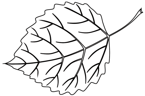 Dibujo para colorear: Árbol (Naturaleza) #154753 - Dibujos para Colorear e Imprimir Gratis